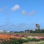 Ferienhaus Cityhouse Vincent Den Helder