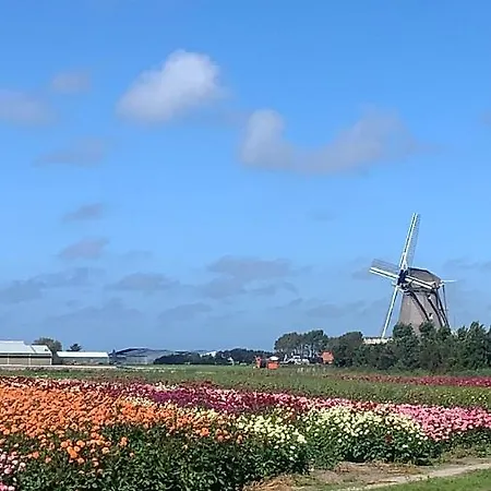 Ferienhaus Cityhouse Vincent Den Helder