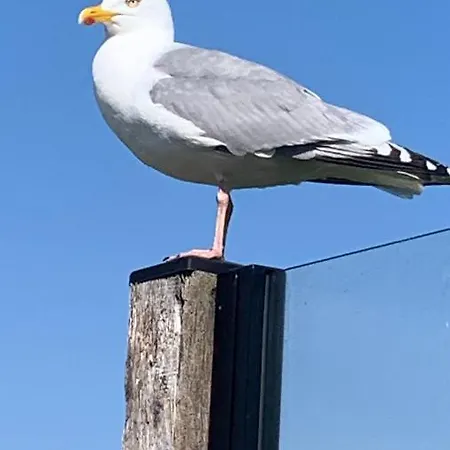 Ferienhaus Cityhouse Vincent